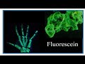 Fluorescein Properties and Applications