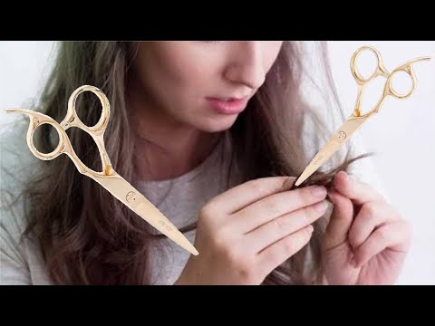 What Happens When You Cut Your Hair With Regular Or Normal Scissors