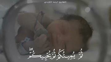 ظهر الفساد في البر والبحر بما كسبت أيدي الناس 💔للقارئ رعد الكردي🍀ستوريات قرآن 💜stories quran