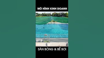 Mô hình kinh doanh bể bơi và sân bóng