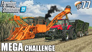 Sugarcane HARVEST and LOAD with HOVER 500 | MEGA Challenge | Farming Simulator 22 #77