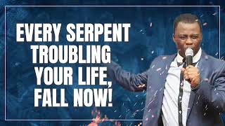 EVERY SERPENT TROUBLING YOUR LIFE, FALL NOW! | DR. DK OLUKOYA MIDNIGHT PRAYER SESSION