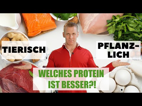 Video: Unterschied Zwischen Tierischem Und Pflanzlichem Protein