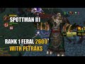 Spottman  rank 1 feral  classic tbc arena pvp  best of twitch 3