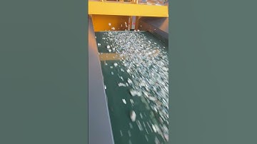 Eddy Current Separator-Sort the Aluminum From the Inside of the Glass.#eddycurrentseparator