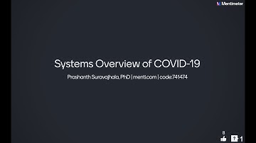 Systems overview of COVID-19: Lessons from Pilot Analysis