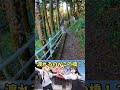 【ゆっくり旅解説】「秘境駅」奥大井湖上駅と大井川鉄道井川線