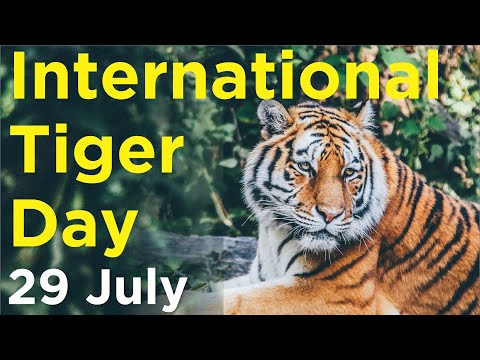 World Tiger Day 2019 || International Tiger Day 2019 || Global Tiger Day