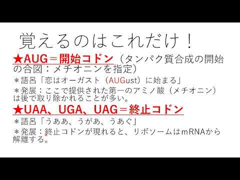 遺伝暗号表（コドン表）　翻訳　アミノアシルtRNA合成酵素　高校生物・生物基礎 genetic code table, biology lecture