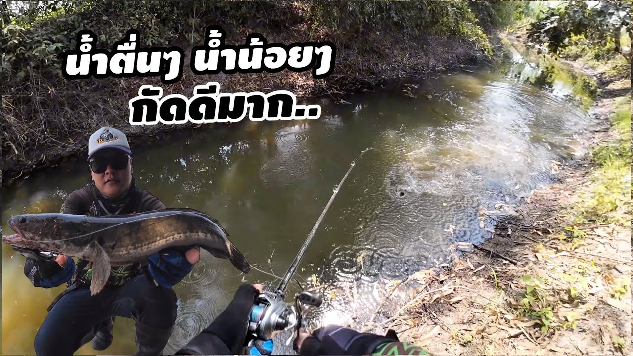 หมายน้ำตื่นๆ น้ำน้อยๆ กัดดี กัดมันส์มาก.. เหยื่อหนูยางแคระ