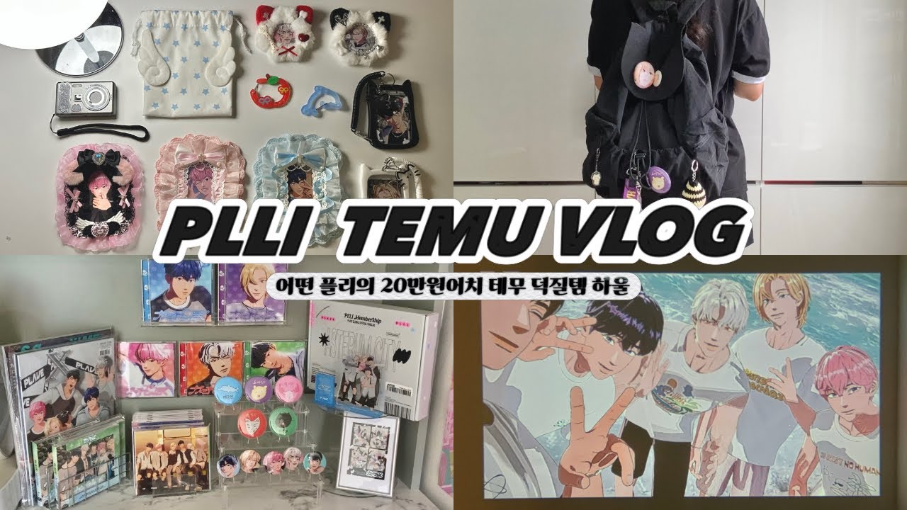 [플리로그] *･゜ﾟ･* 플리의 20만원어치 테무깡 *･゜ﾟ･* | 테무템으로 굿즈존 꾸미기 | 테무하울 | 덕질템 