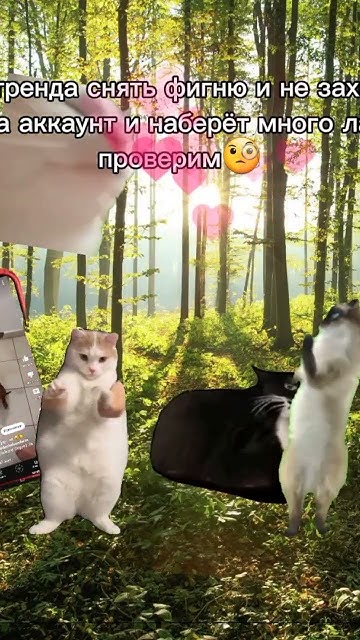 ой блины блины блины блины🥞 #shortsvideo #мем #cute #мемы - YouTube