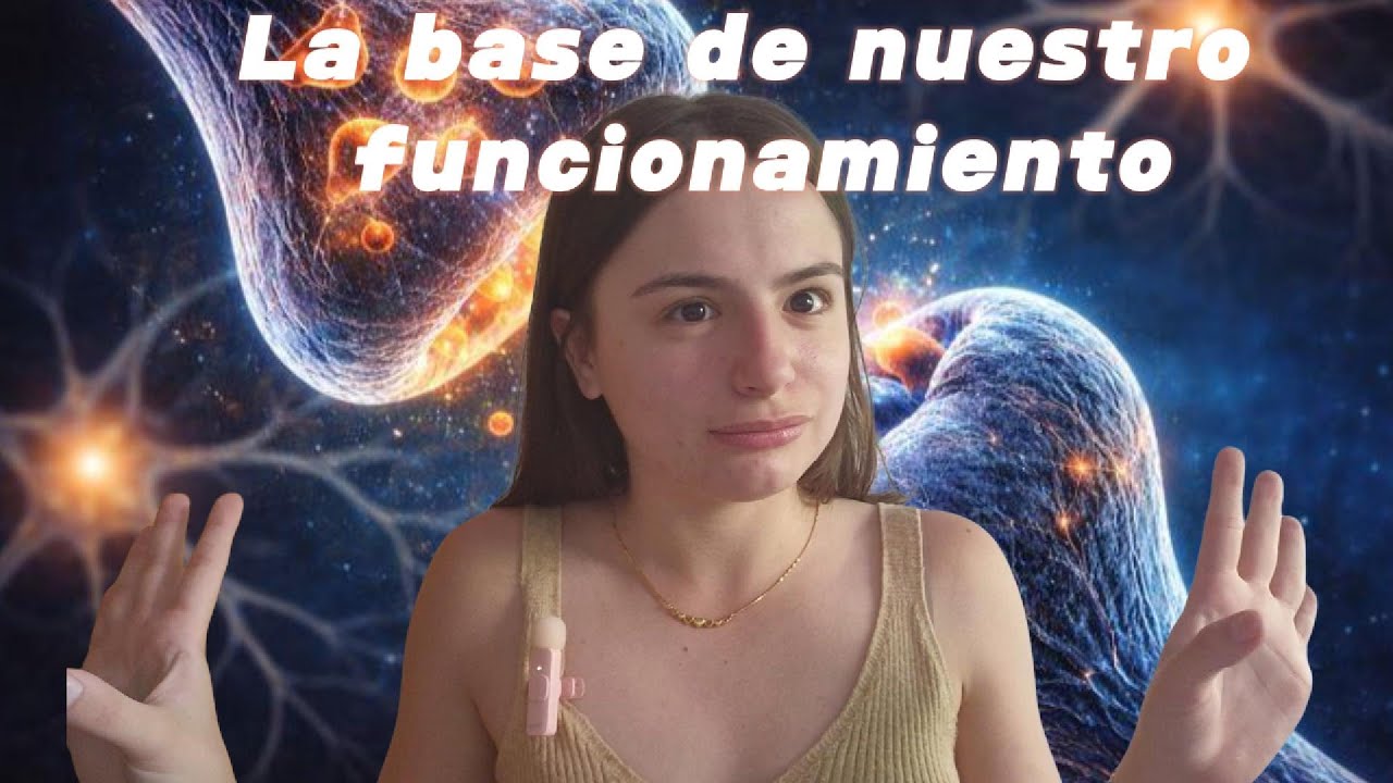 Las Sinapsis (Todo el proceso: potencial reposo/acción, receptores, PIPS y PEPS)