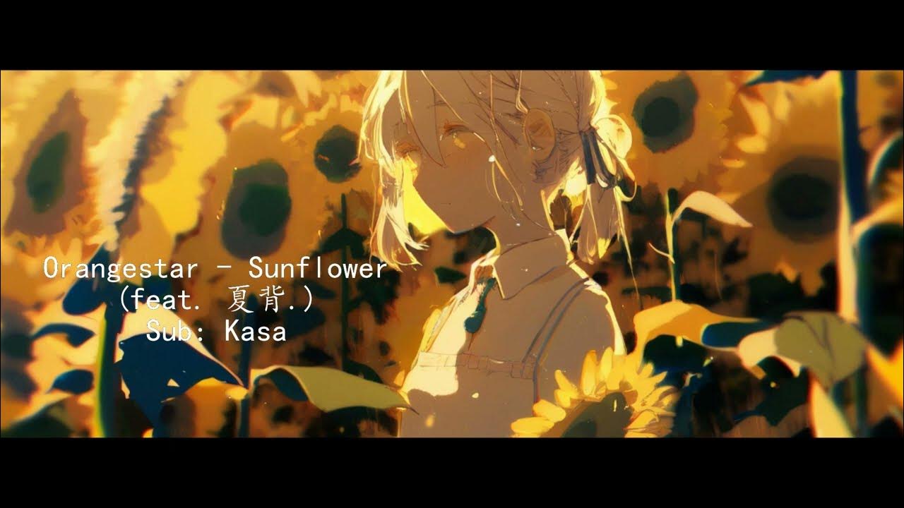 [EngsubVietsub] Orangestar Sunflower (feat. 夏背.) Lyrics ROM YouTube