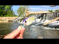 A PREHISTORIC MONSTER Was Living In This MOUNTAIN SPILLWAY!!! (New PB.. Kinda)