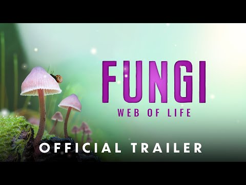 Fungi: Web of Life - Official Theatrical Trailer