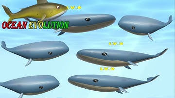 Ocean Evolution Gameplay Walkthrough part 3 ~ All Gameplay Levels New Update Android & iOS