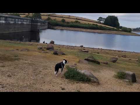 26 August, Siblyback Lake is a scenic reservoir located in East Cornwall, UK #lakes #lake