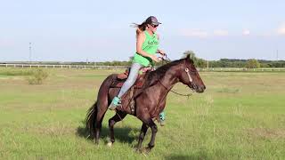 open pasture figure 8 drill for barrel horses