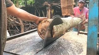 Penggergajian kayu waru untuk bahan bangunan rumah