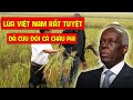 Kinh Ngạc Khi Lúa Việt Nam Được Trồng Và Giải Cứu Châu Phi Khỏi Nạn Đói