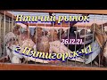 Голуби цены Птичий рынок г Пятигорск-ч1 Pigeons prices Bird market Pyatigorsk-ch1