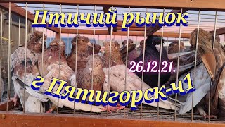 Pigeons prices Bird market Pyatigorsk-ch1