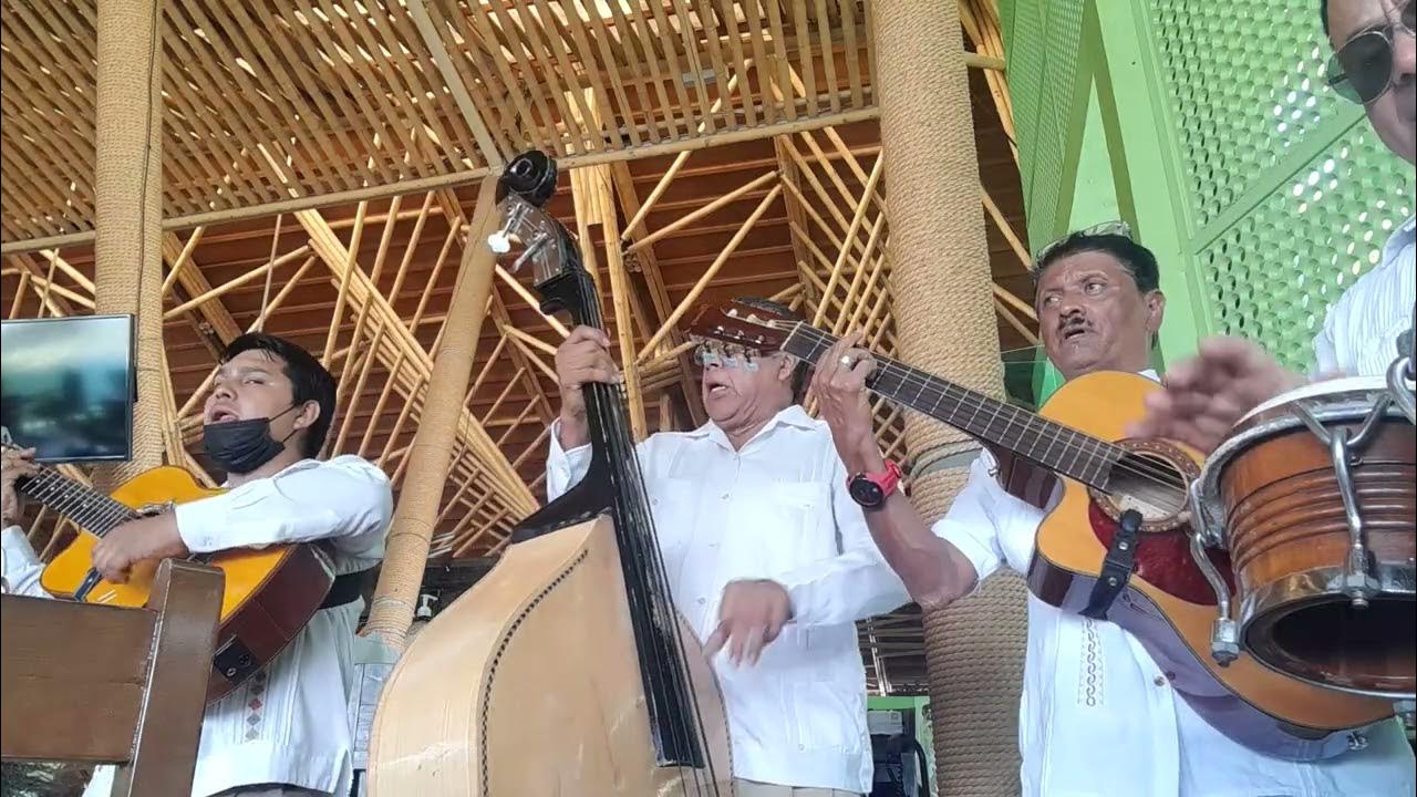 TRIO MUSICAL 7772679950 VERSATIL Cuernavaca en Morelos 7771321315 what