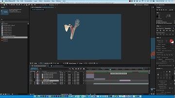 Layer Time Time–Reverse Layer _04