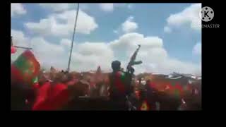 Download Lagu sirba qabsoo MP3 Download Lagu sirba qabsoo MP3