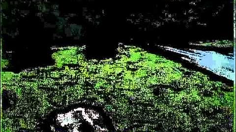 Cartoon Effect - OpenShot