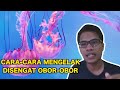 Cara-Cara Mengelak Disengat Obor-Obor