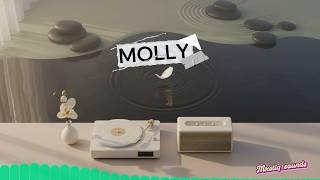 Afrobeat Afropop Type Beat "MOLLY" | Sarz x BXNX x Dj Tunez x Wizkid Type Beat 2026