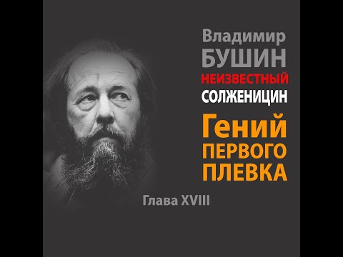 Владимир Бушин «Неизвестный Солженицын» // Глава #18