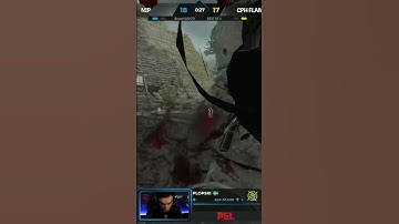 This Is It Do or Die | NIP vs Copenhagen Flames | PGL Major Stockholm 2021| CSGO HIGHLIGHTS |