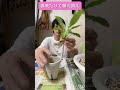 【安部プラント21】～春が来たので植え替えます！～植え替えはこうやる！～