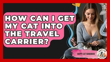 How Can I Get My Cat Into The Travel Carrier? - Happy Cat Handbook