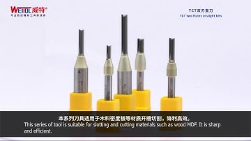 TCT Two Flutes Straight Router Bit