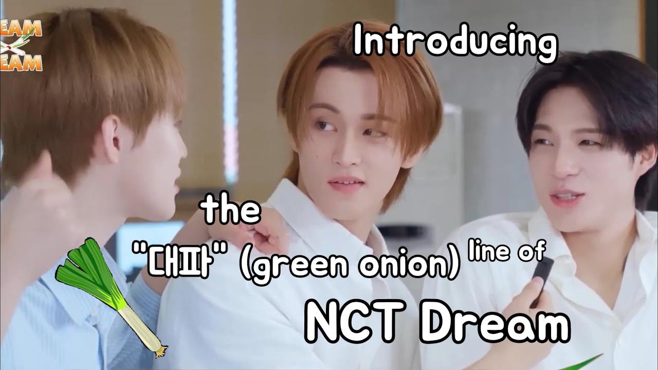 dreamshow チソン this is NCT 