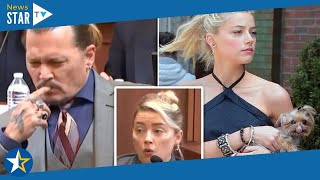 Amber Heard testifies over Johnny's claim she left faeces in their bed