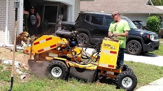 Why Nick's Tree Service