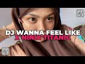 DJ WANNA FEEL LIKE X NINIX TITANIC | DJ JEDAG JEDUG YANG KALIAN CARI CARI!!!