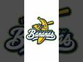 How The Savannah Bananas Made Baseball Actually Fun #shorts #baseball