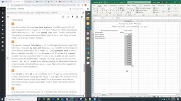 CIS201 W01 SP20 Excel 4 Lab Solution