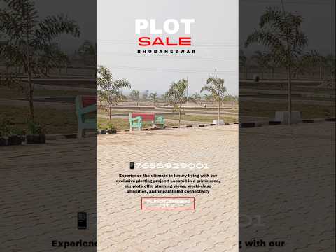 ✅ Plot for