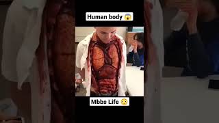 MBBS LIFE 😨🔥| HUMAN BODY DUMMY PROJECT 🌟| #doctor #shorts #viral #mbbs #anatomy screenshot 1