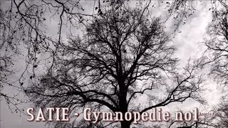 Satie   Gymnopedie No1