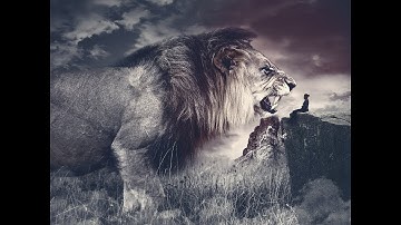 Parables Study - The Speck and The Log