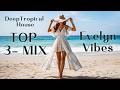 DeepTropical House   Top 3 Evelyn Vibes