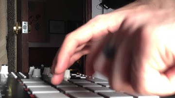 BEAT TRAVLR  - Horns and Horses